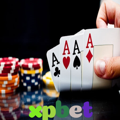  xpbet
