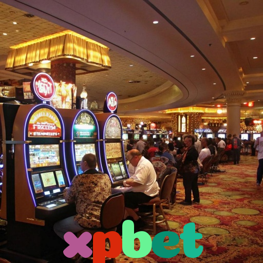  xpbet