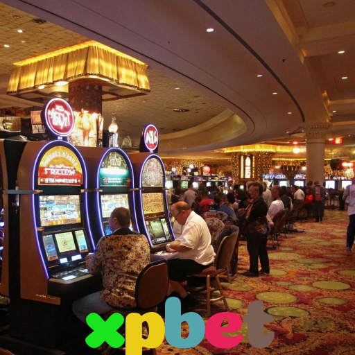  xpbet