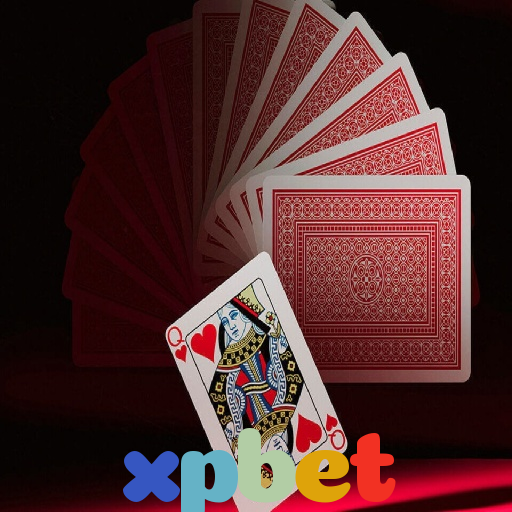  xpbet