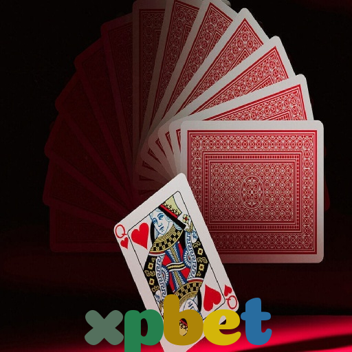  xpbet