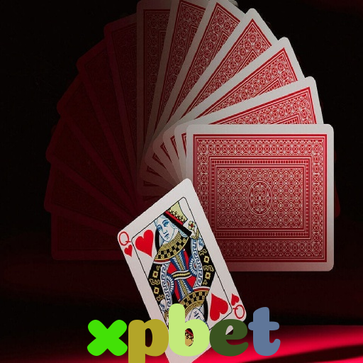  xpbet