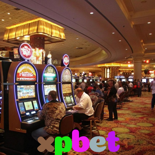  xpbet