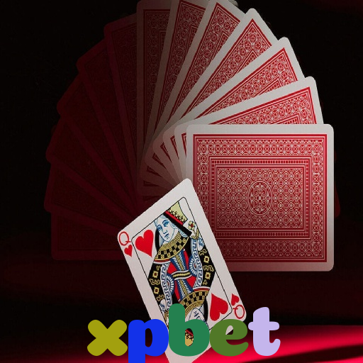  xpbet