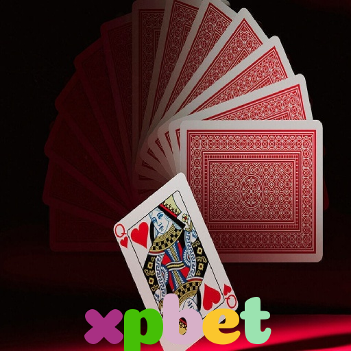  xpbet