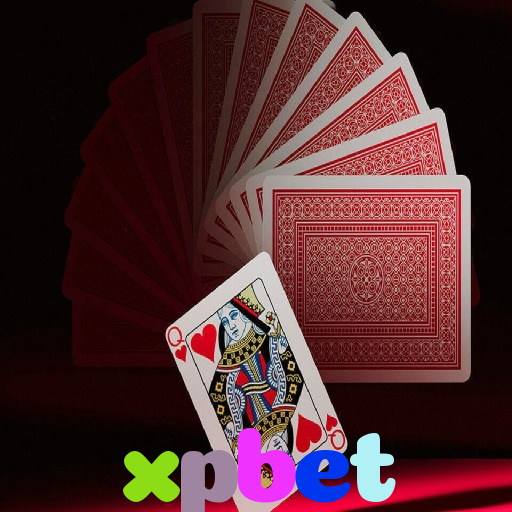  xpbet