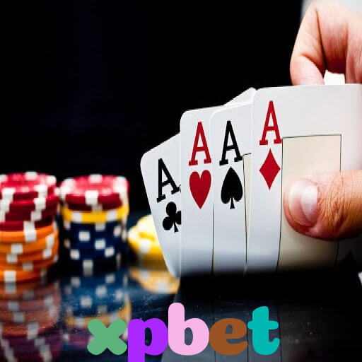  xpbet